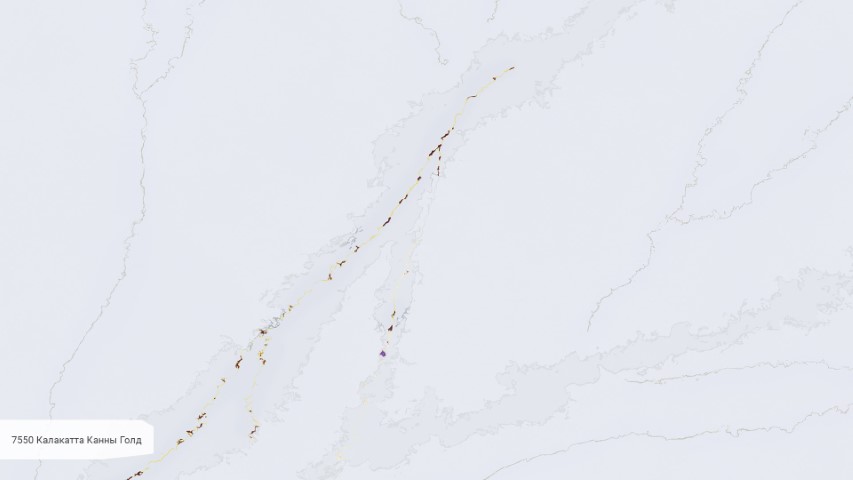 7550 Калакатта Канны Голд_ZOOM